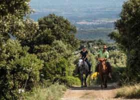 © Olivier Octobre - Pnr Haut-Languedoc