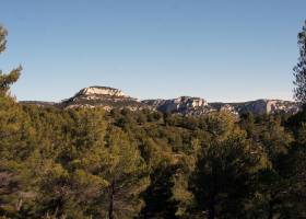  Entre Luberon et Alpilles : initiation et formation à l’ornithologie - escursia