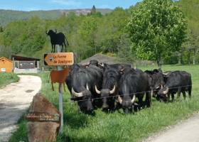 La Ferme de Souègnes