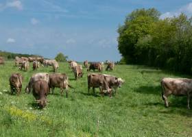 © Karine GAMBART SPIRKEL / Parc naturel régional du Morvan