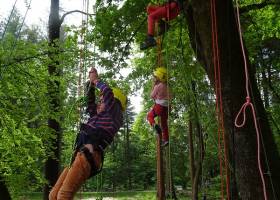 Grimpe d'arbres, une activité accessible à tous