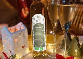 Le sambuc, une boisson fermentée réalisée à partir de fleurs de sureau sauvage cueillies à la main