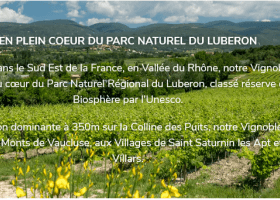 Vignoble Chateau Saint Pons