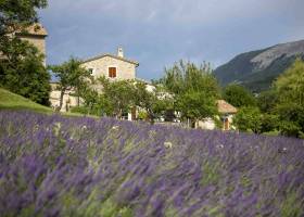 Le moulin