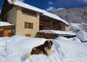 Chalet viso - en hiver