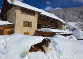 Chalet viso - en hiver