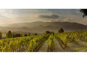 Les Coteaux de Grambois PNR Luberon