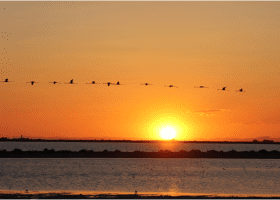 Bureau des guides naturalistes - visite au coucher du soleil