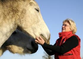 ecuries des landes © david commenchal / PNR Perche