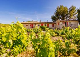 Domaine Plein Pagnier © C. Flaccomio_WeGo