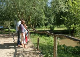 Balade au Parc ornithologique les Oiseaux du Marais poitevin