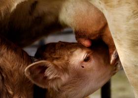 Ferme des Villardes