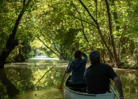 Promenade en canoë dans le Marais poitevin