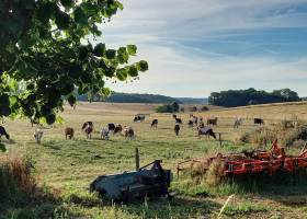 Ferme du gros Poirier