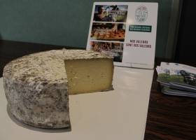 Fourme fermière du Lycée agricole de Rochefort-Montagne bénéficiant de la Marque Valeurs Parc des Volcans d'Auvergne