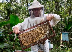 GAUCHER Bruno, APICULTURE