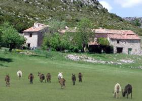 La Commanderie Saint Maymes