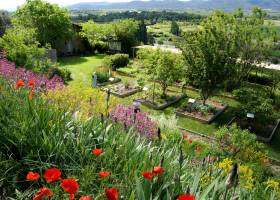 Jardin des plantes tinctoriales_Parc du Luberon