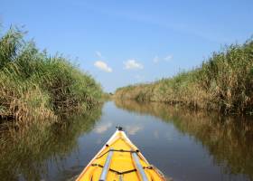 Kayak sur le delta de la Leyre