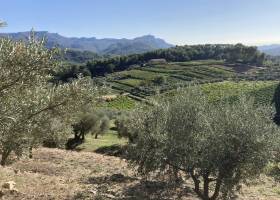 Domaine La Michelle - Ilona Genty-Mezei