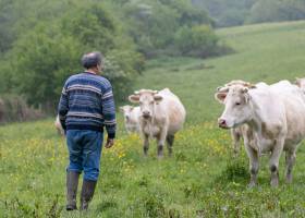 © Karine GAMBART SPIRKEL / Parc naturel régional du Morvan