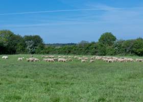 © Karine GAMBART SPIRKEL / Parc naturel régional du Morvan