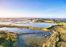 Réserve naturelle des Marais de Séné ©ALAMOUREUX