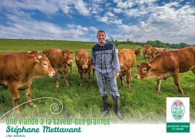 Lorraine- Viande bovine