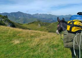 Les Mules de Soula en montagne