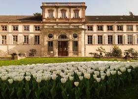 Château de la Neuenbourg