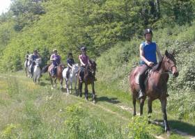 les poneys d'abord