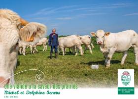 Lorraine - Viande bovine