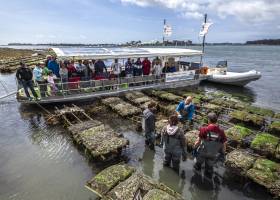 Découverte du métier d'ostreiculture