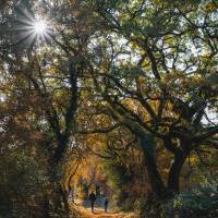 Les Globe Blogueurs dans le PNR des Causses du Quercy