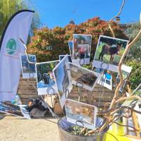 Lancement de la saison des prestataires touristiques marqués Valeurs Parc naturel régional du Marais poitevin