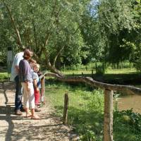 Famille visitant le parc ornithologique les oiseaux du Marais poitevin 