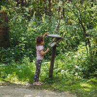 Enfant lisant les supports pédagogiques du parc les Oiseaux du Marais poitevin - Le Ciré Jaune