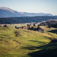 Platière sur le secteur des Hautes-Combes avec une combe ouverte bordée d'épicéas et une ferme isolée