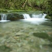 Barres de tuf sur le Vers (rivière) / Parc des Causses du Quercy