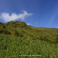 Paysages de la Martinique