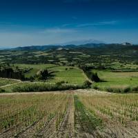 Territoire viticole de Maury @Terre d'Histoire