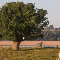 PNR Loire-Anjou-Touraine©PNRLAT-Nicolas Van Ingen