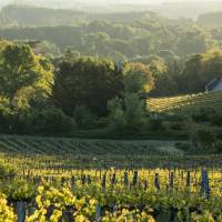 PNR Loire-Anjou-Touraine©PNRLAT-Nicolas Van Ingen