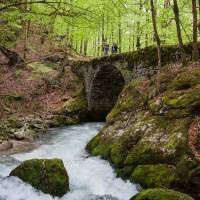 Randonneurs sur le Pont du Rouffy sur la Valserine, au printemps