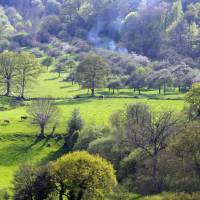 Bocage © Francis Massias