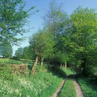 Bocage © PNR Avesnois / Samuel Dhote