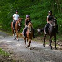 A cheval dans le Parc © N. Gornas - PNRLG