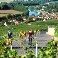 Cyclistes © PNR Montagne de Reims