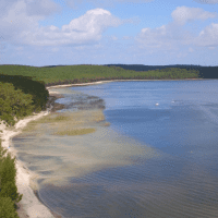 Lac de Carcans - Syndicat mixte Pays Médoc, Zoé TV et Databirds