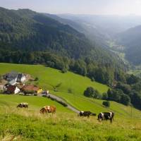 Ferme auberge de la Graine Johél©Nature et image